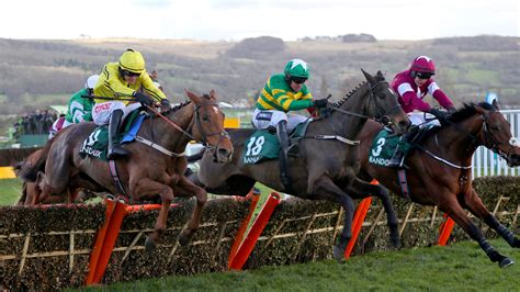 cheltenham racing bets|Iba pa.